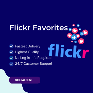 Buy Flickr Favorites