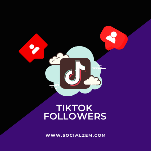 buy tiktok followers